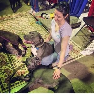 Meet your Posher, Carly